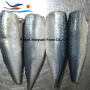 Good Price Seafood Frozen Pacific Mackerel